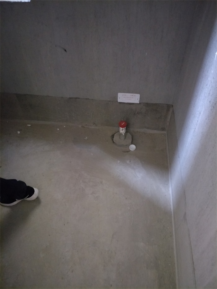 IMG20190427084843.jpg