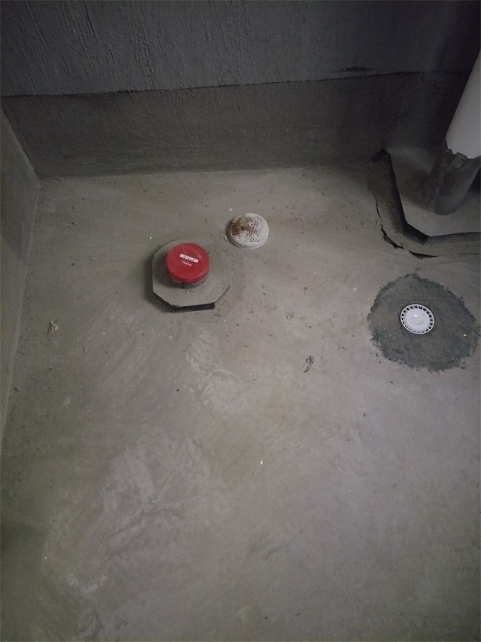 IMG20190427084901.jpg