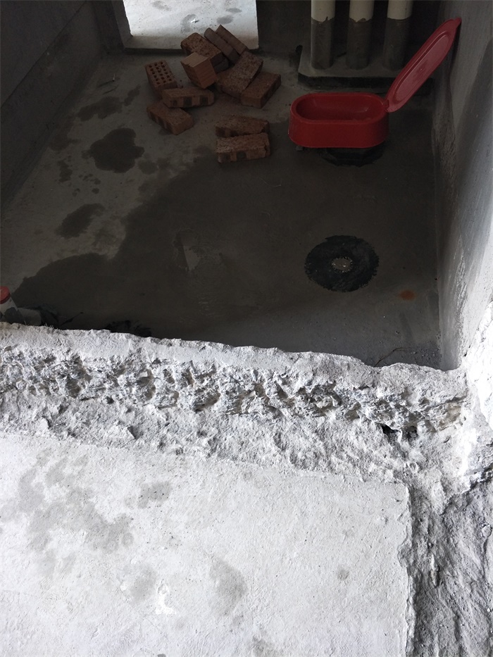 IMG20190429112921.jpg