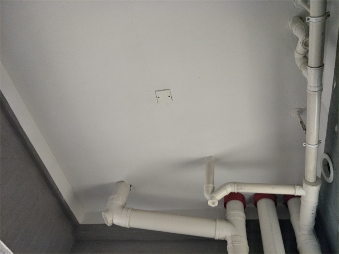 IMG20190429113556.jpg