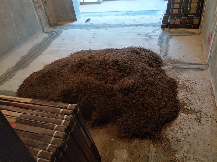 IMG20190421175635.jpg