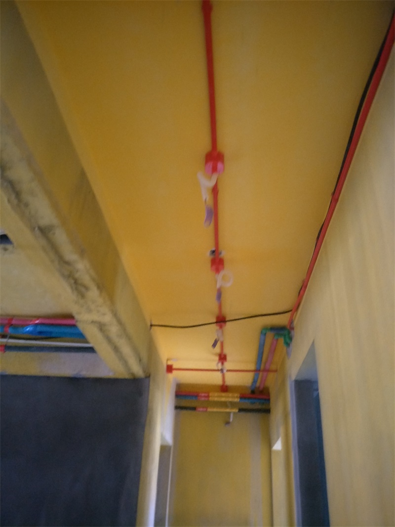 IMG20190428154127.jpg