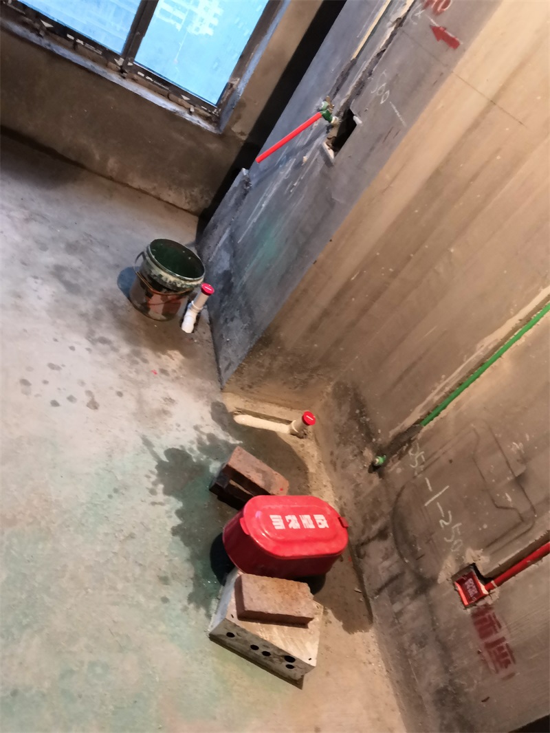 IMG_20190220_085105.jpg