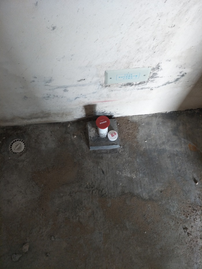 IMG20190506090334.jpg