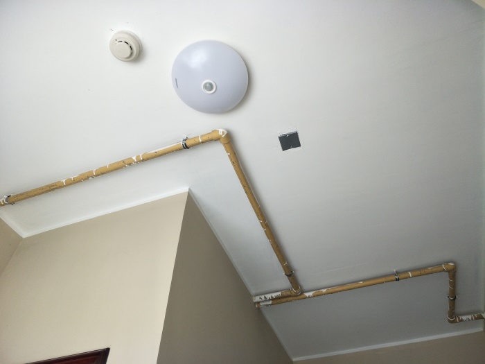 IMG20190506092514.jpg
