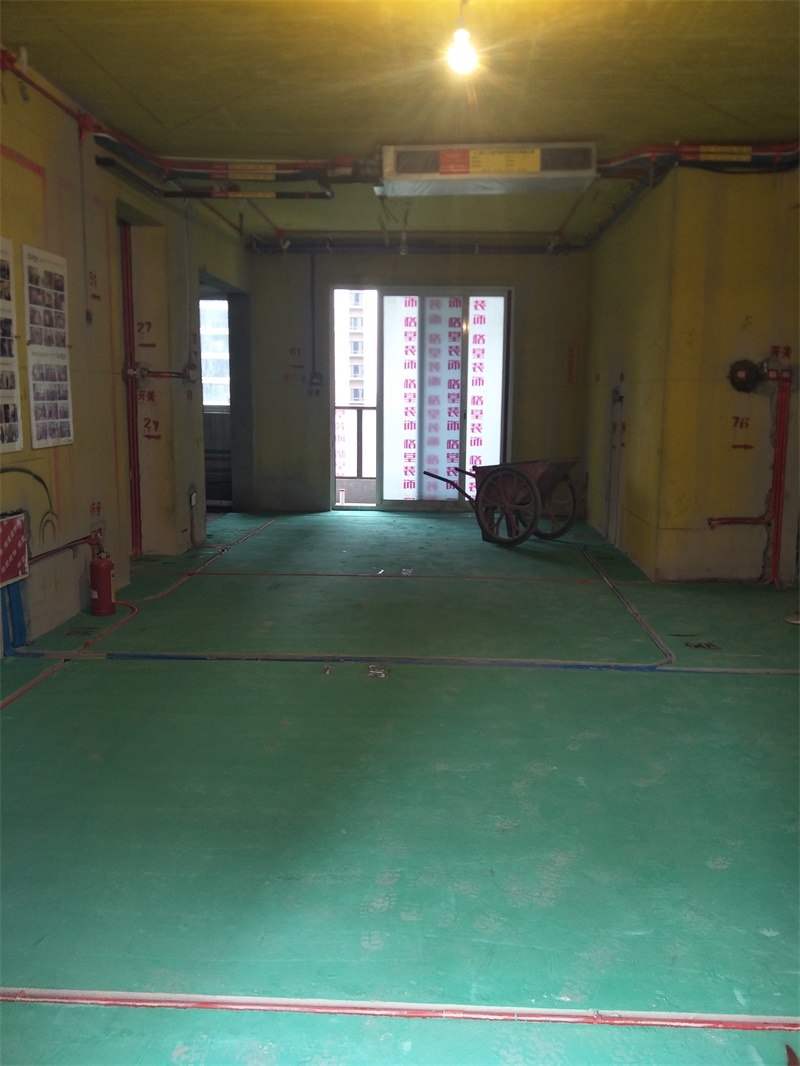 IMG20190430092414.jpg