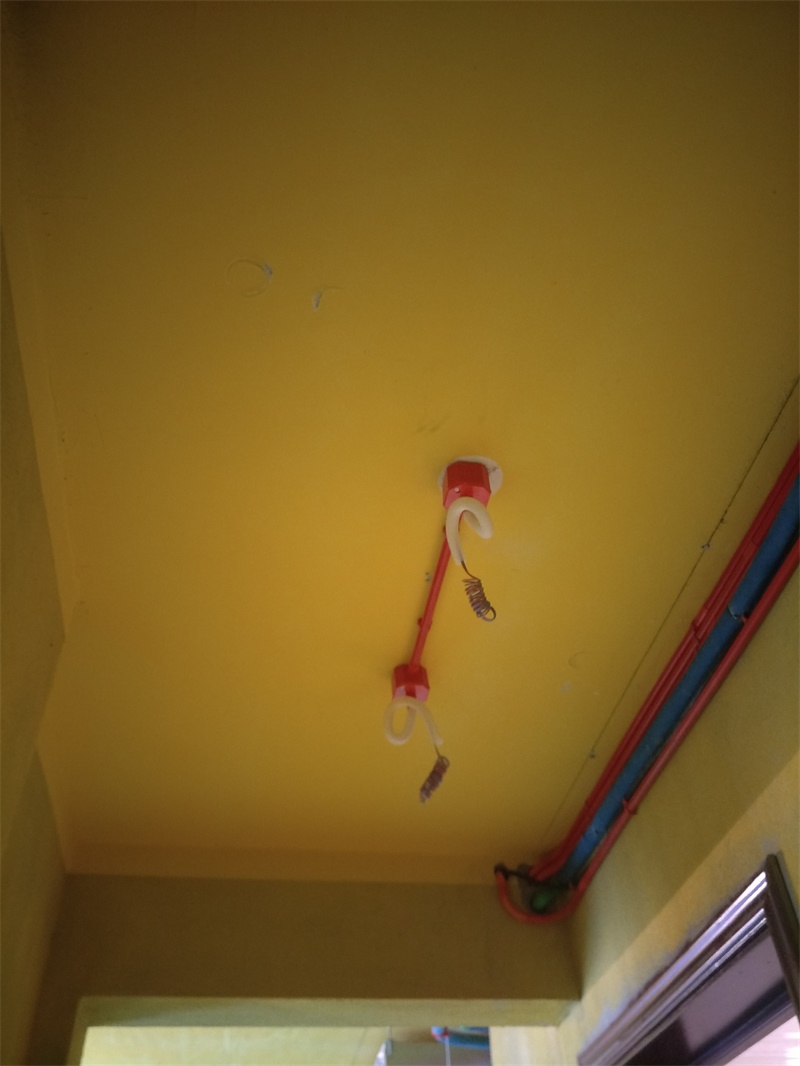 IMG20190430093117.jpg
