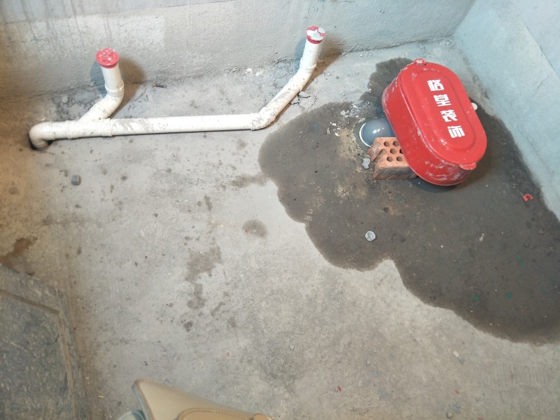 IMG20190430095430.jpg