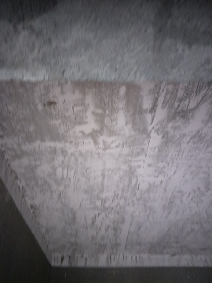 IMG20190428145914.jpg