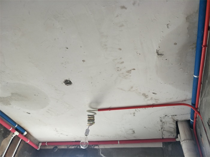IMG20190428150205.jpg