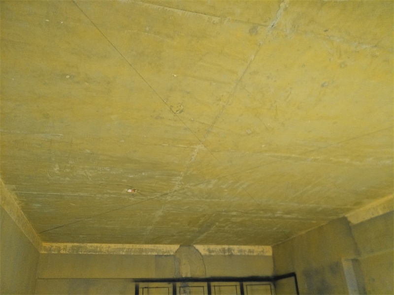IMG20190506091525.jpg