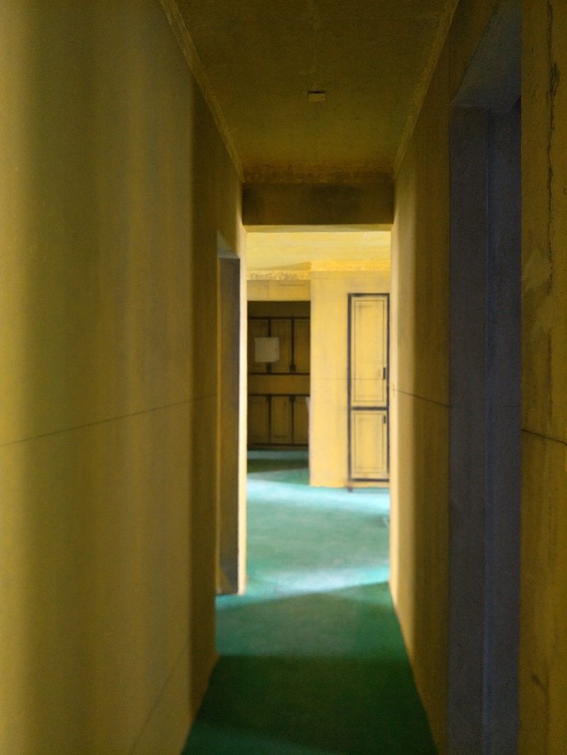 IMG20190506091956.jpg