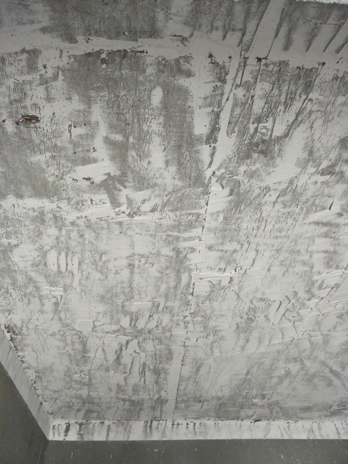 IMG20190505080251.jpg