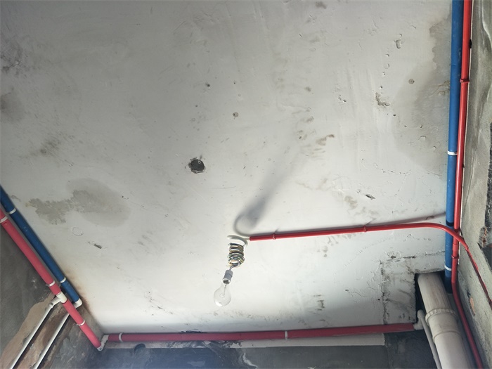 IMG20190505080601.jpg