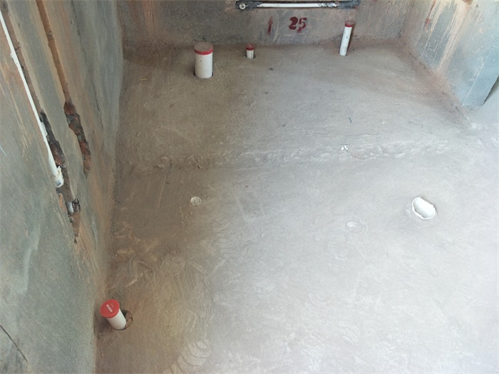IMG20190505080736_1.jpg