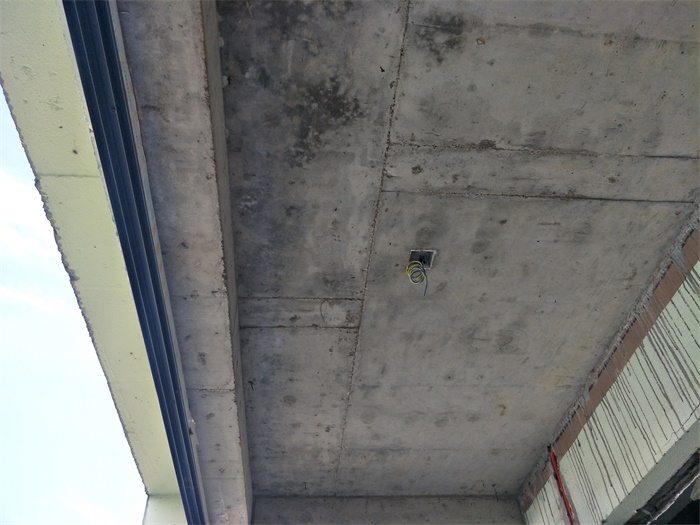 IMG20190505081142.jpg