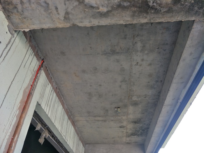 IMG20190505081207_1.jpg