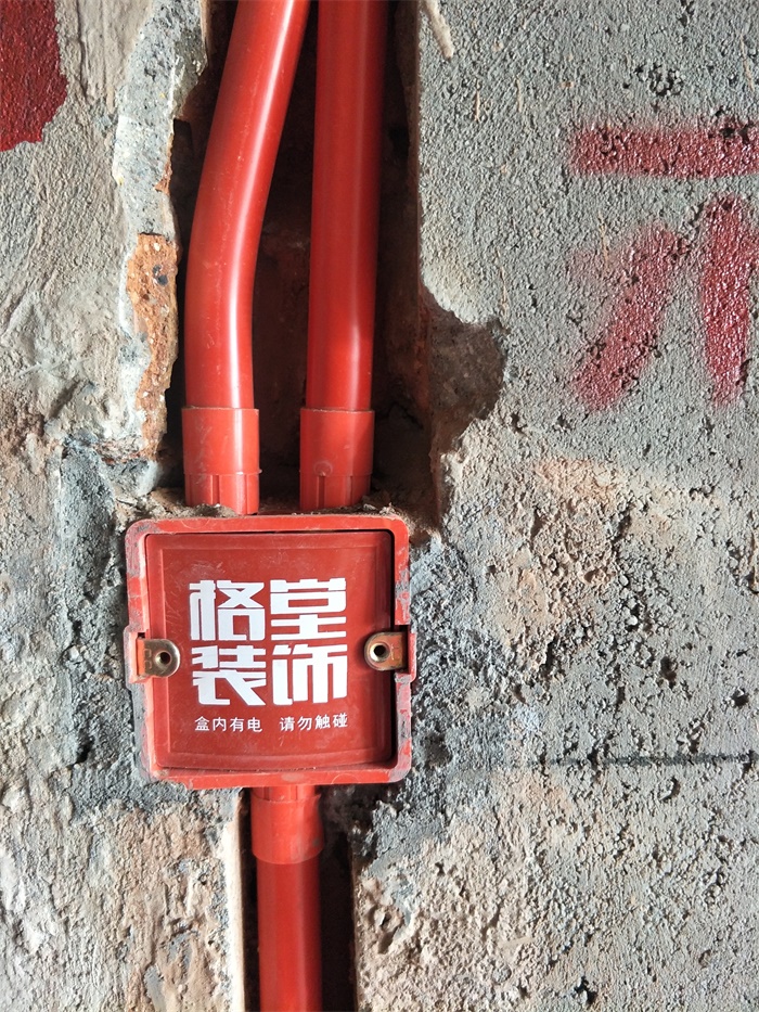 IMG20190505081816.jpg