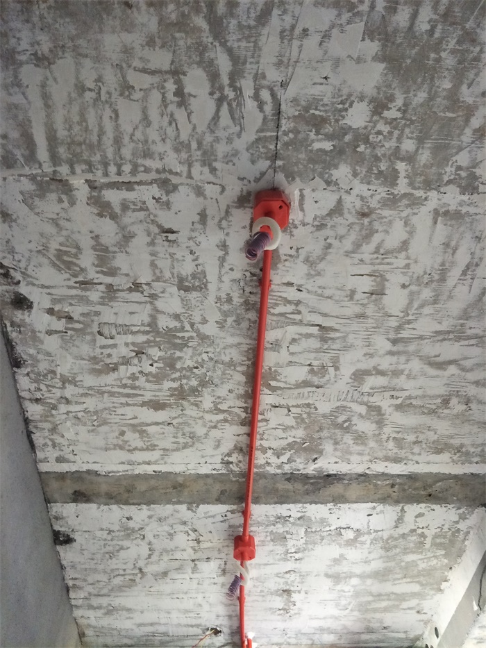 IMG20190505082715.jpg