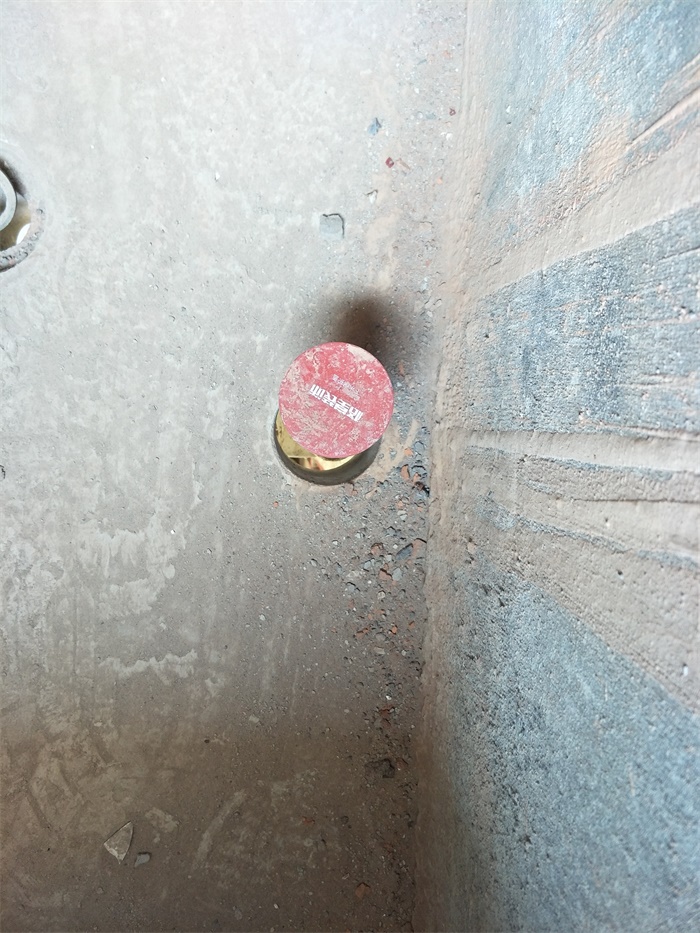 IMG20190505084238.jpg