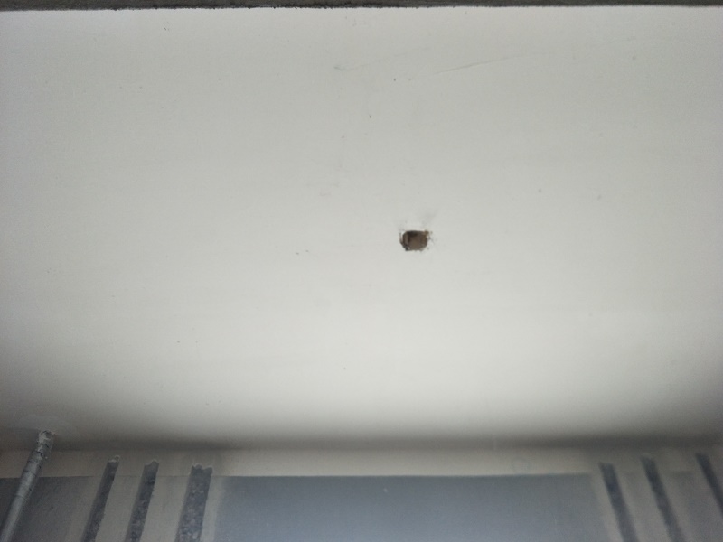 IMG20190508135319.jpg