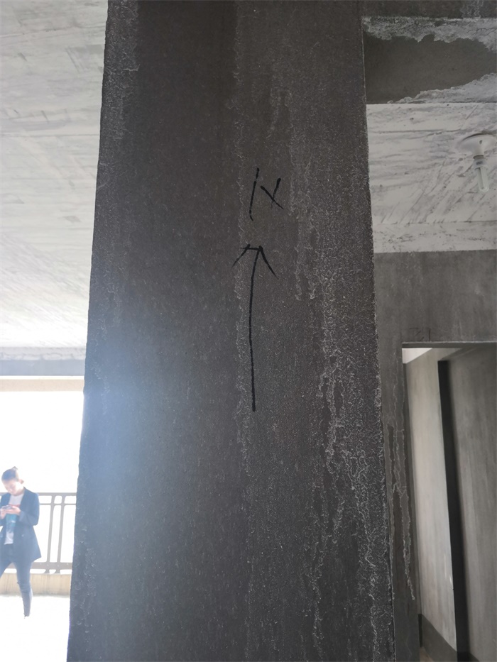 IMG_20190509_090336.jpg