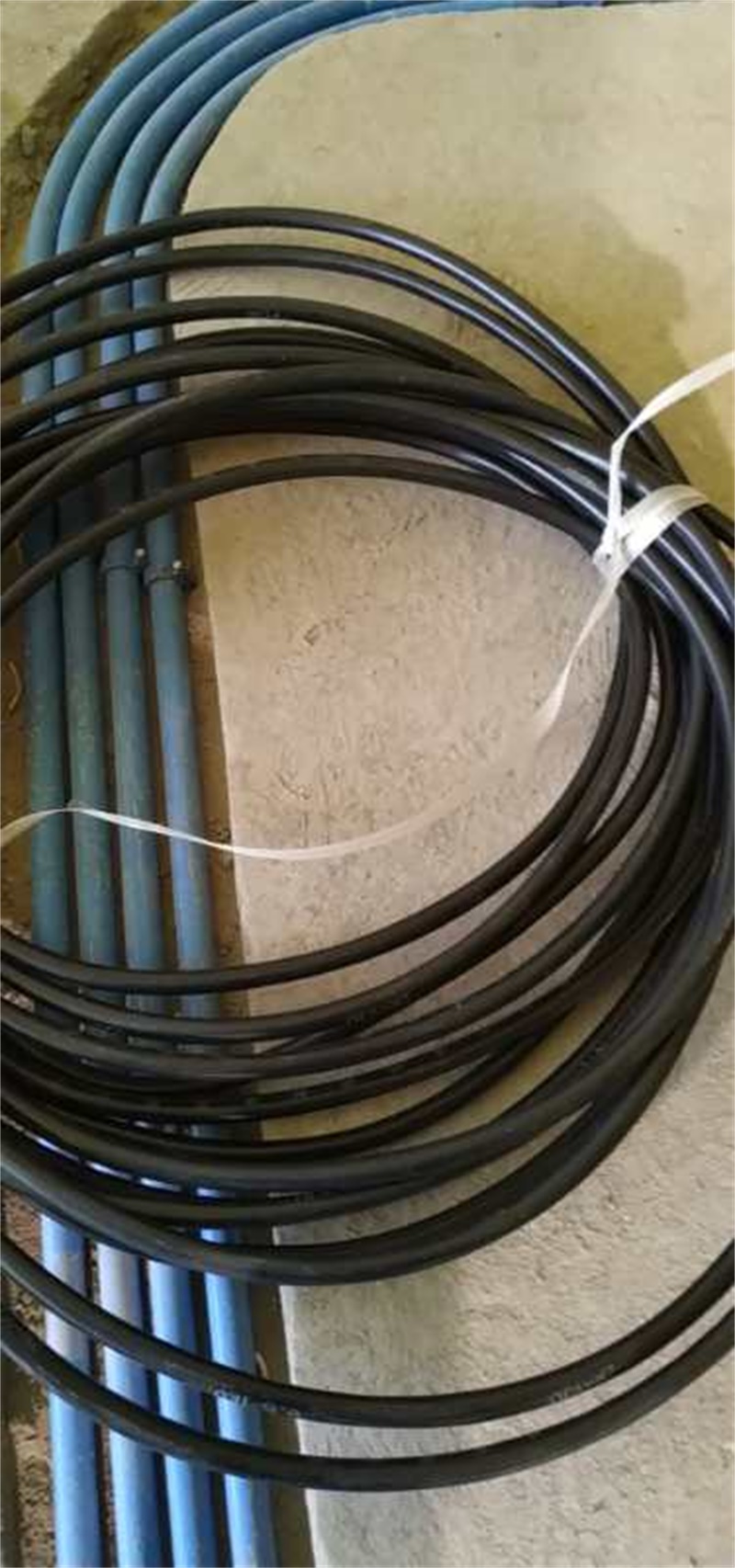 mmexport1557477853306.jpg