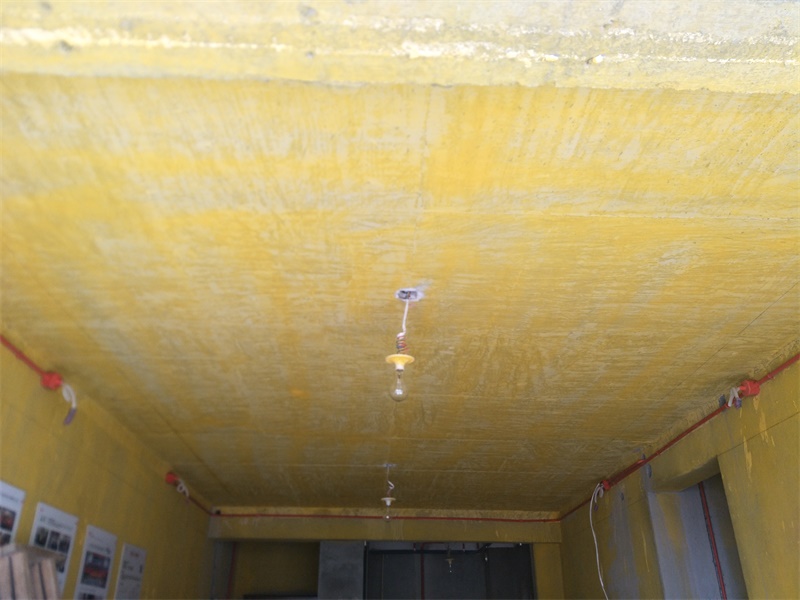 IMG20190505113604.jpg