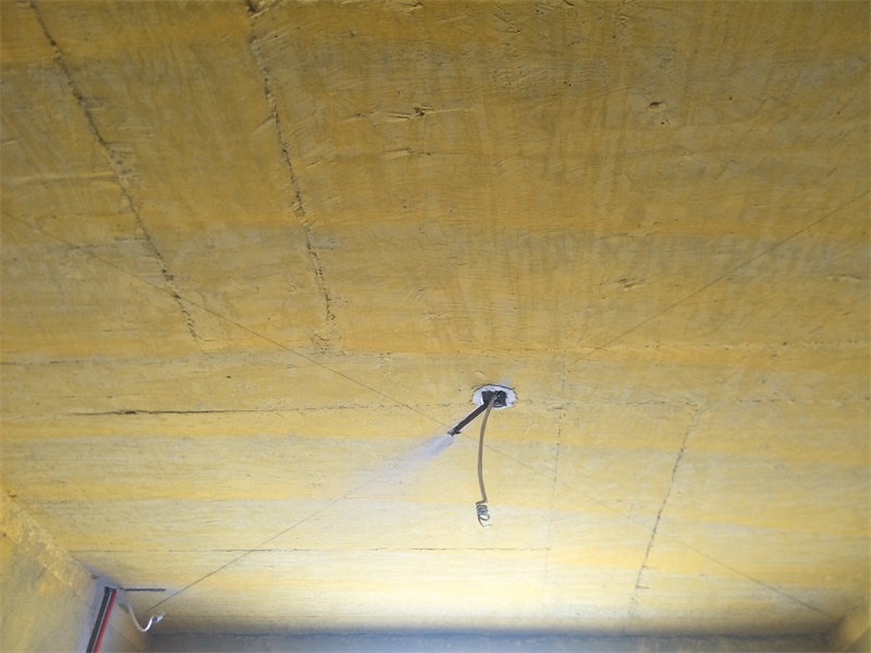 IMG20190505114252.jpg