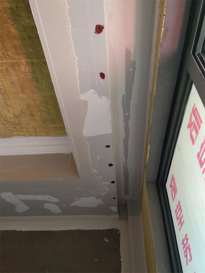 IMG_20190420_110510.jpg