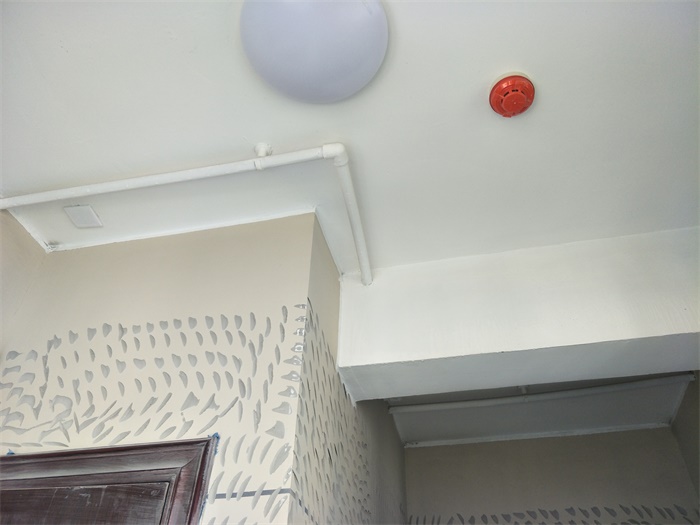 IMG20190512084955.jpg