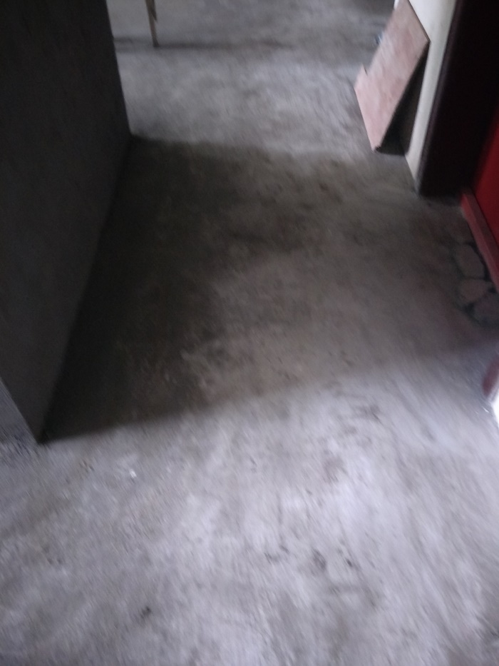 IMG20190429104727.jpg