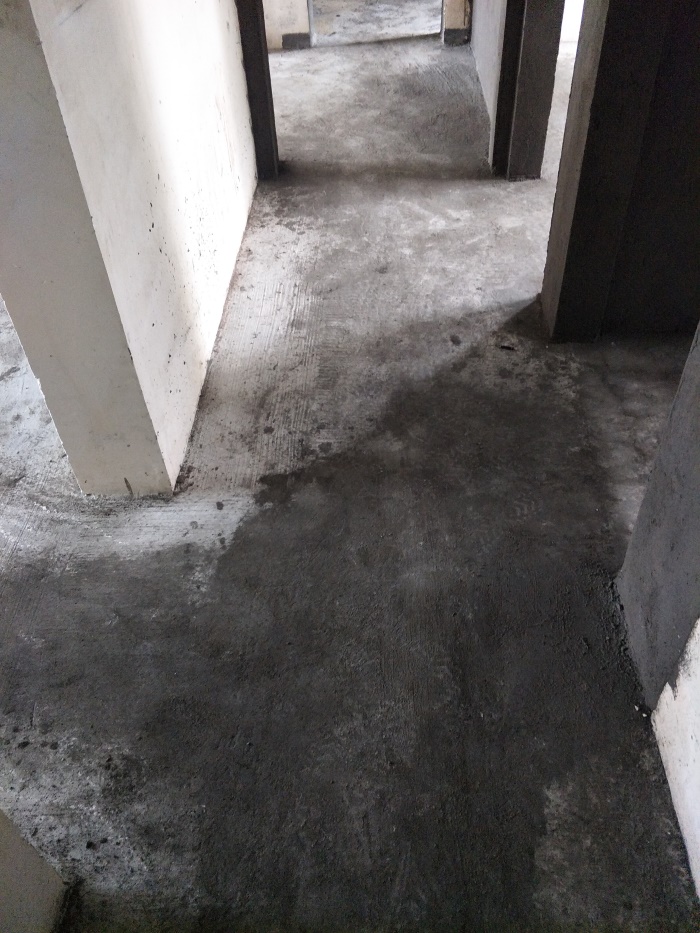 IMG20190429105106.jpg
