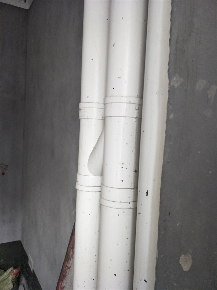 IMG20190429105219.jpg