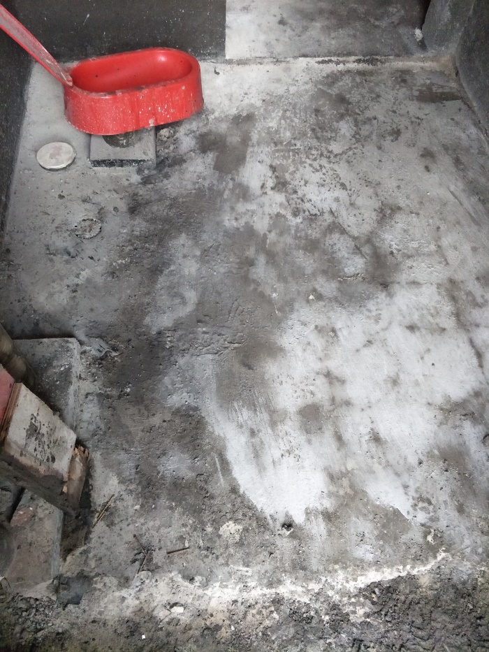 IMG20190429105526.jpg