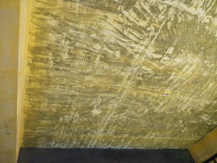 IMG20190430094102.jpg