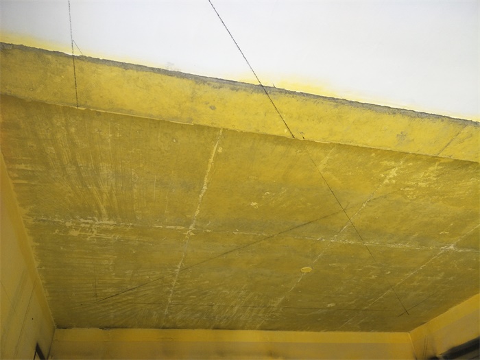 IMG20190504085004.jpg