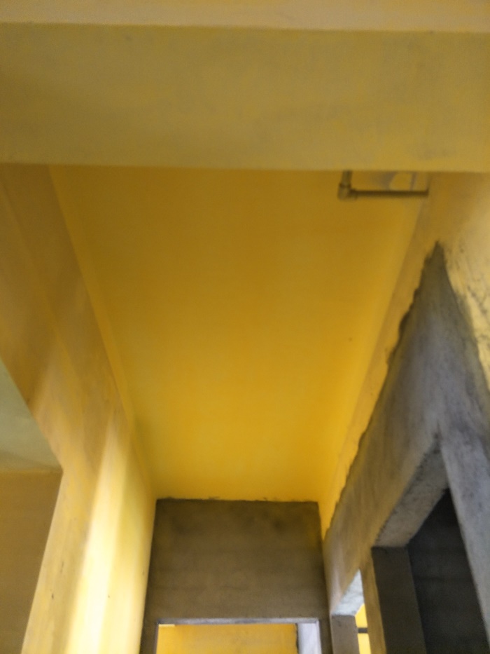 IMG20190504085036.jpg