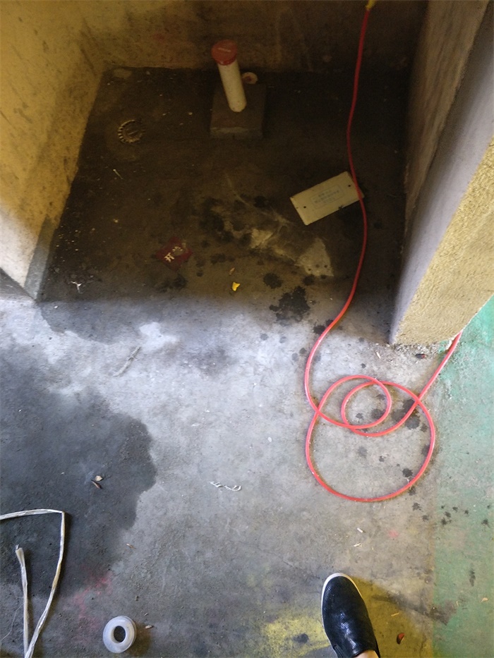 IMG20190504085409.jpg