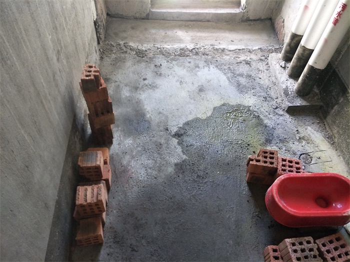 IMG20190504085501.jpg