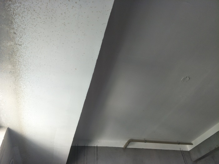 IMG20190504085837.jpg