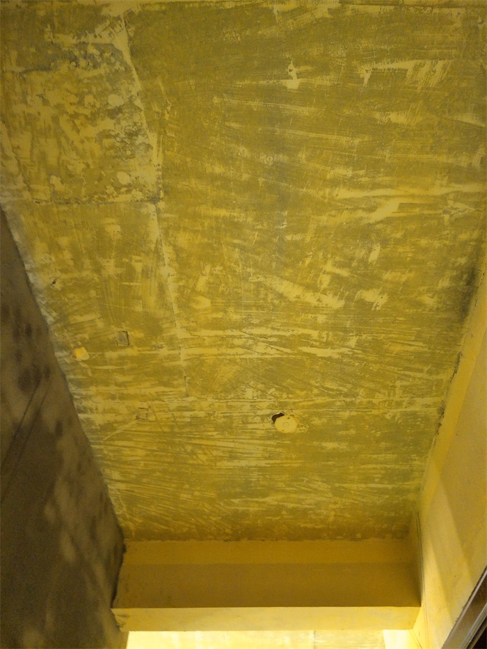IMG20190504090056.jpg