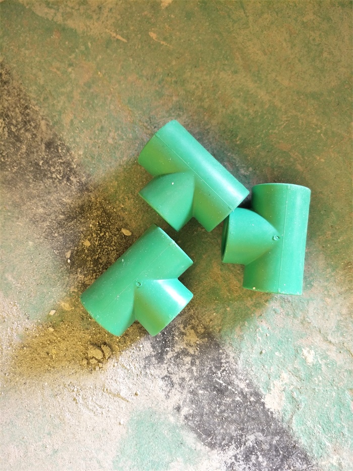 IMG20190506102213.jpg
