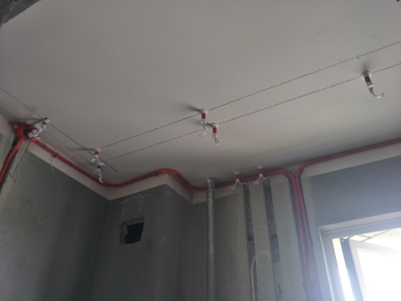 IMG20190512091412.jpg
