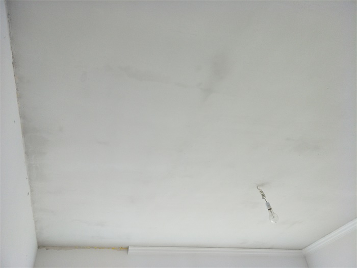 IMG20190429114545.jpg