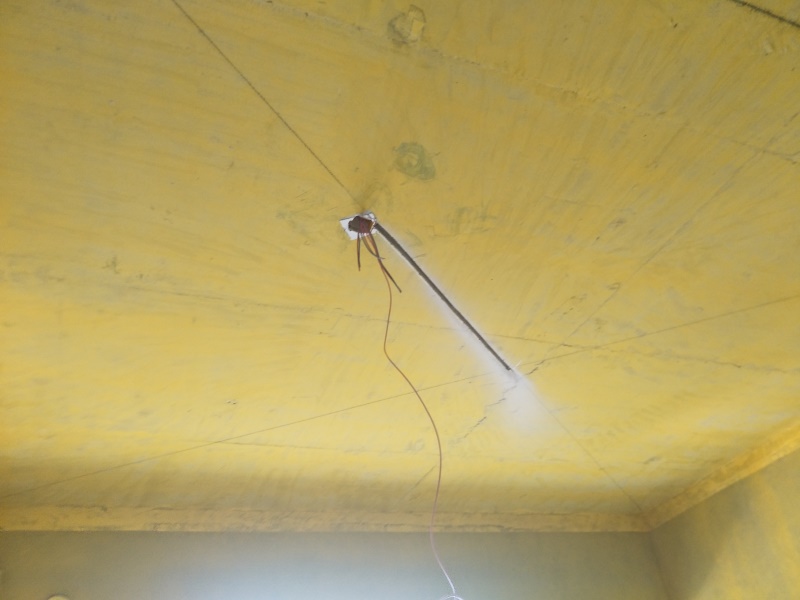 IMG20190512091839.jpg