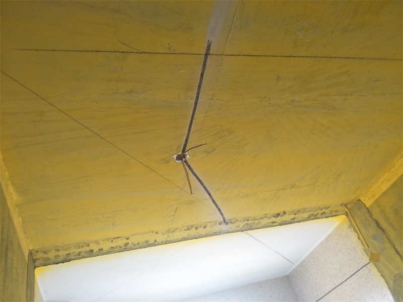 IMG20190512092456.jpg