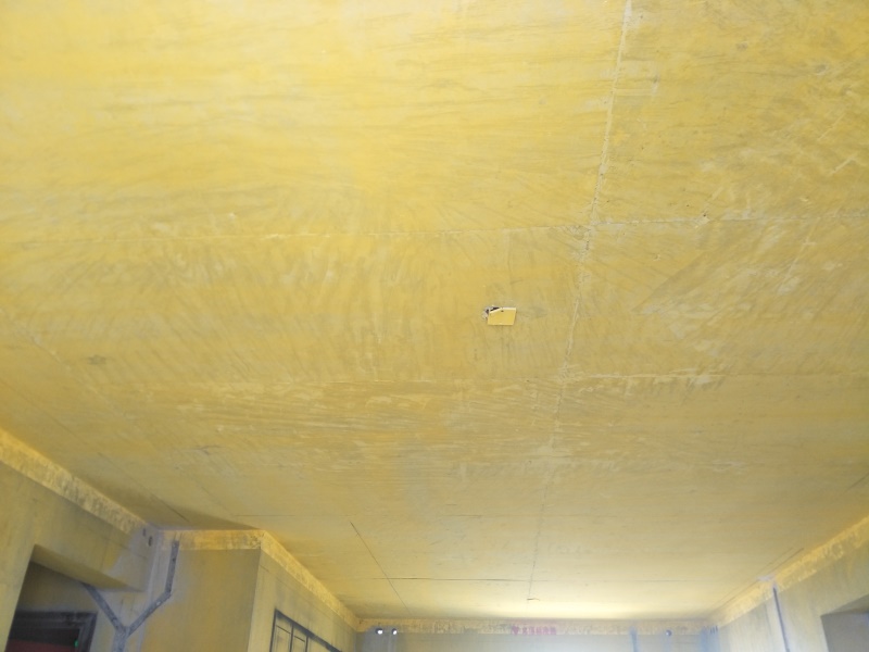 IMG20190512100229.jpg