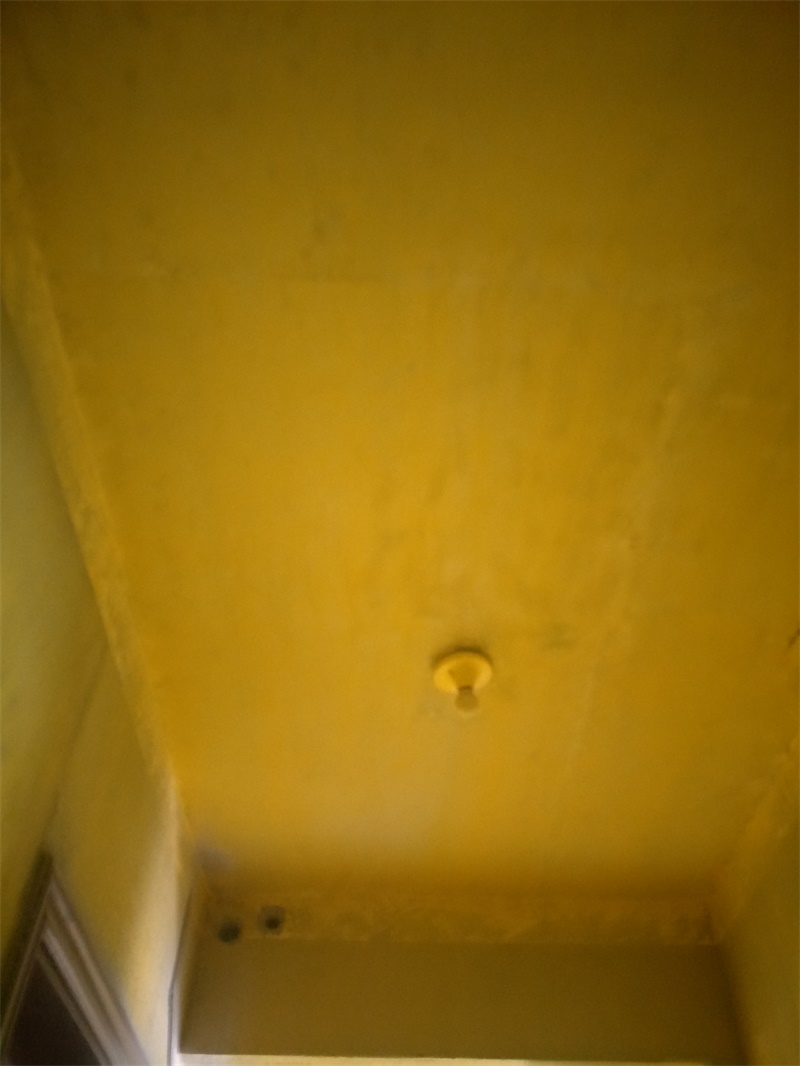 IMG20190512100435.jpg