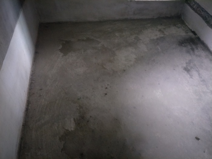 IMG20190518071258.jpg